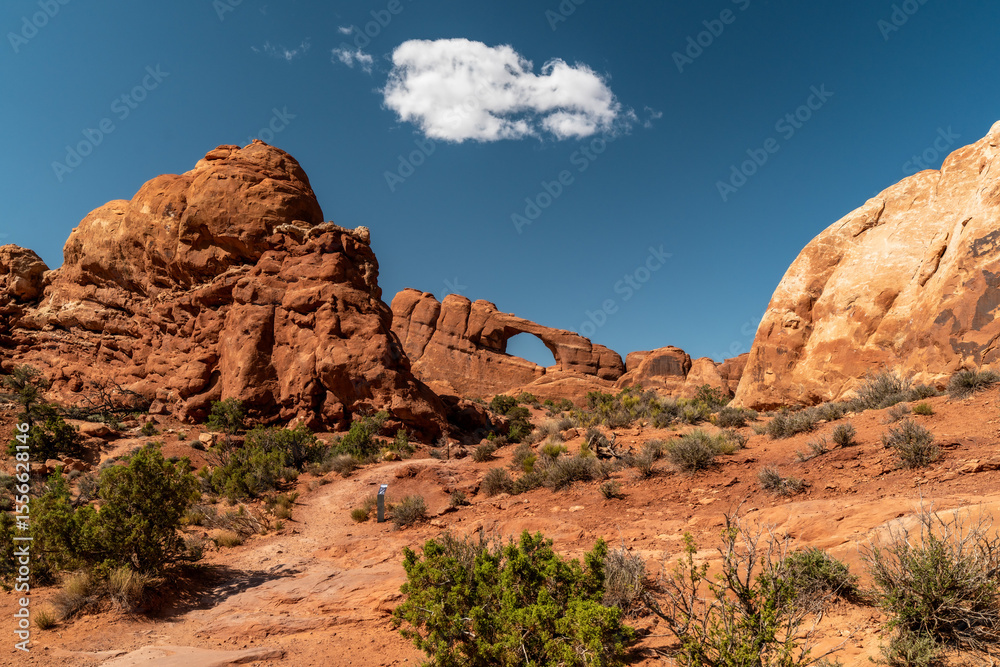 Fototapeta premium Double Arch in Arches National Park