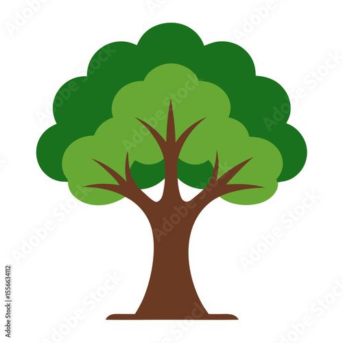 Sandalwood Tree: Aromatic Wood

