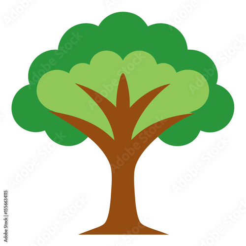 Sandalwood Tree: Aromatic Wood

