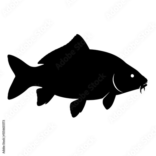 Silhouette of a Common Carp with Distinctive Barbels on White Background