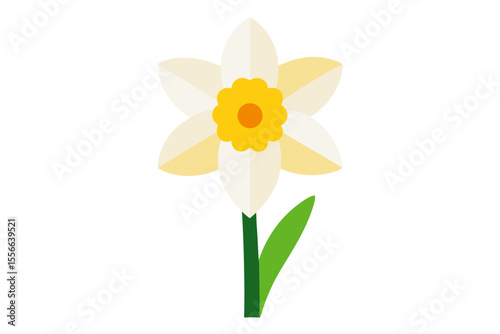 Yellow daffodil flowers with green leaves are isolated on a white background, symbolizing spring and natural beauty
