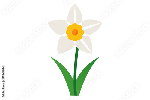 Yellow daffodil flowers with green stems and petals blooming in spring, isolated on a white background