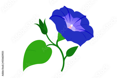 Blue and violet roses with green leaves are isolated on a white background, embodying single flower beauty and romance