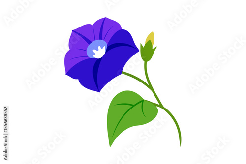Violet pansy flower with green leaves isolated on a white background