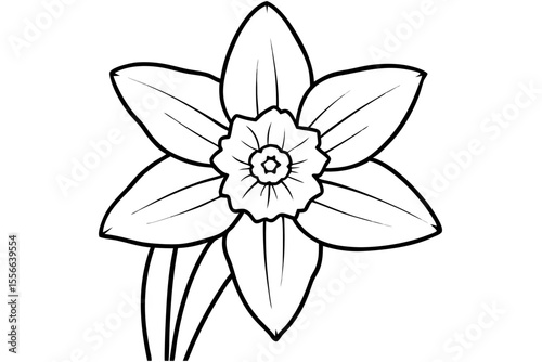 White flower vector illustration isolated on a white background