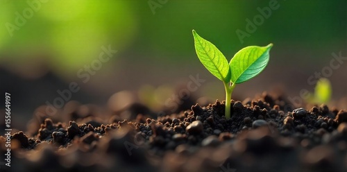 A close-up shot of a seed sprouting from the earth, symbolizing the raw, primal energy of hunger giving birth to new life , spring, close-up, beginning