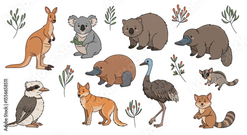 Illustration showing a variety of australian animals including kangaroo koala platypus and more wildlife