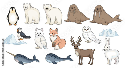 Illustration of arctic animals including polar bears walruses foxes and marine life on a white background