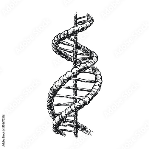 Modern DNA Cartoon Vector Illustration in Black and White