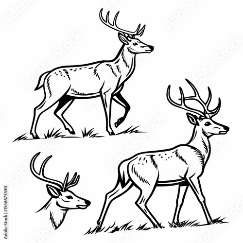 Deer Target Images vector. Black and white Deer Target Images vector isolated on white background.