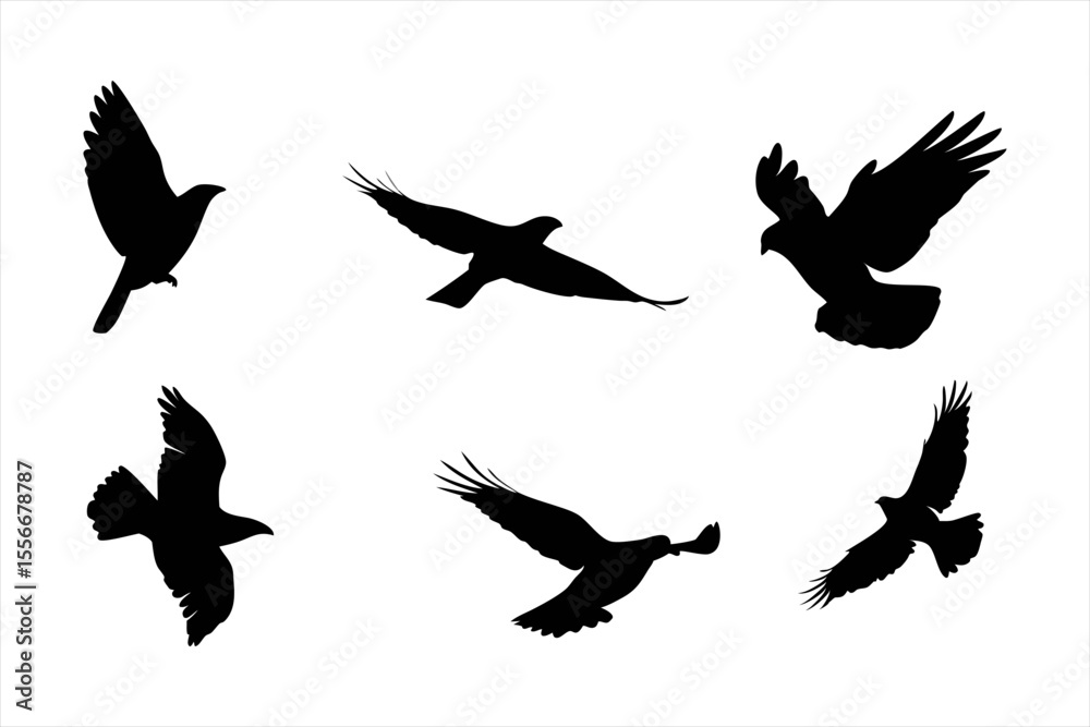 Naklejka premium Flying Birds Silhouettes Collection - Majestic Eagle and Hawk Flight Vectors