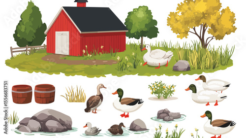 Farm Objects Set with Wild Ducks Cartoon Flat