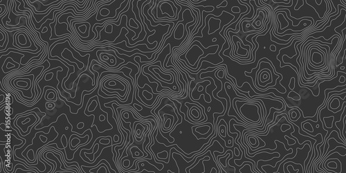 gray abstract topographical map with contour lines creating a seamless pattern effect creates a sense of depth and complexity design is modern and stylish, suitable for backgrounds and wallpapers.