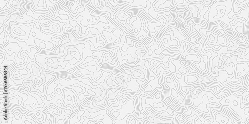 Topographic white and bright light grey stylized line essential for effectively communicating the focus and scope of a map or survey. A well-crafted provides clarity on the geographic area.