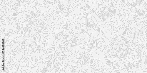 Topographic white and bright light grey stylized line essential for effectively communicating the focus and scope of a map or survey. A well-crafted provides clarity on the geographic area.