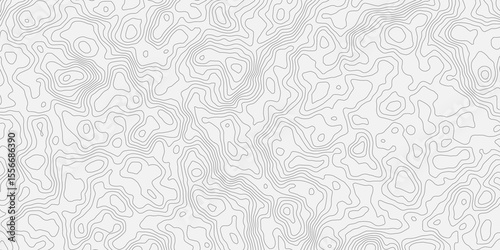Topographic white and bright light grey stylized line essential for effectively communicating the focus and scope of a map or survey. A well-crafted provides clarity on the geographic area.