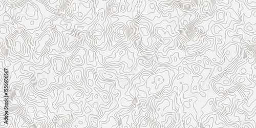 Topographic white and bright light grey stylized line essential for effectively communicating the focus and scope of a map or survey. A well-crafted provides clarity on the geographic area.