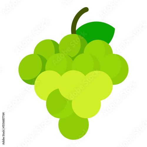 vector illustration of grapes