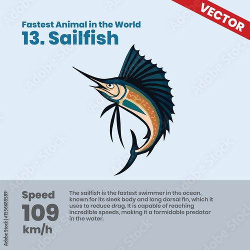Sailfish, the fastest swimmer in the ocean, reaching speeds of 109 km/h with its sleek body and long dorsal fin, making it a formidable predator in deep waters across the seas