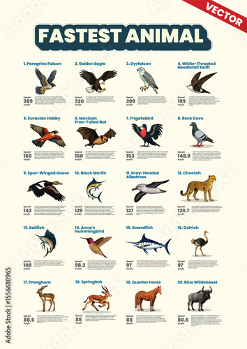 Poster of the Fastest Animals in the World with Speed Data for Each Species Useful for Learning Wildlife Facts Animal Lovers Nature Education Enthusiasts Biology Students and Infographic Content Creat
