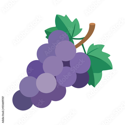 Illustration of a Bunch of Grapes with Leaves Attached to Stem, on White Backdrop, in Vector Style