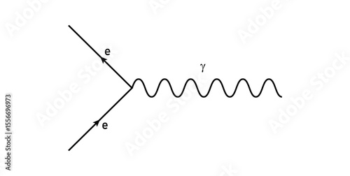 Primitive Vertex of the Feynman Diagram in Physics.
