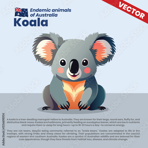 Adorable Vector Artwork of a Koala with Botanical Information About This Eucalyptus-Loving Marsupial