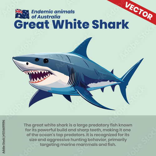 Fierce Vector Depiction of the Great White Shark – Apex Predator of Australian Water