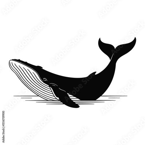 Black and White Humpback Whale Silhouette Ocean Water Graphic Monochrome Illustration