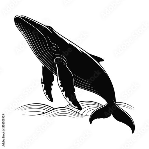 Black and White Humpback Whale Silhouette Leaping Ocean Waves Graphic Monochrome