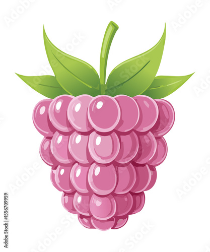 Vibrant Fresh Raspberry Fruit - Vector Illustration