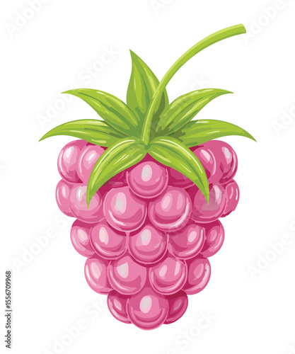Fresh Ripe Raspberry Fruit - Vector Illustration