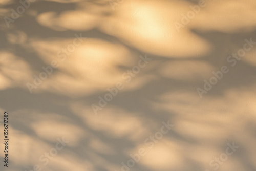 Obraz na plátne Abstract natural tree branch leaves shadow on beige wall background