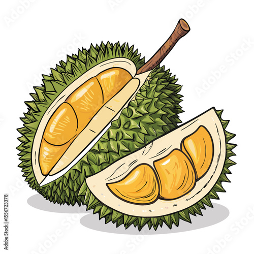 Bold cartoon durian halved, spiky shell, creamy yellow flesh. Eye-catching, detailed.