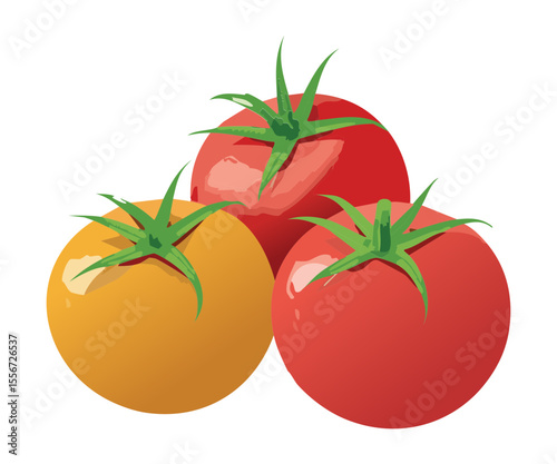 Assortment of Colorful Fresh Tomatoes - Vector Illustration