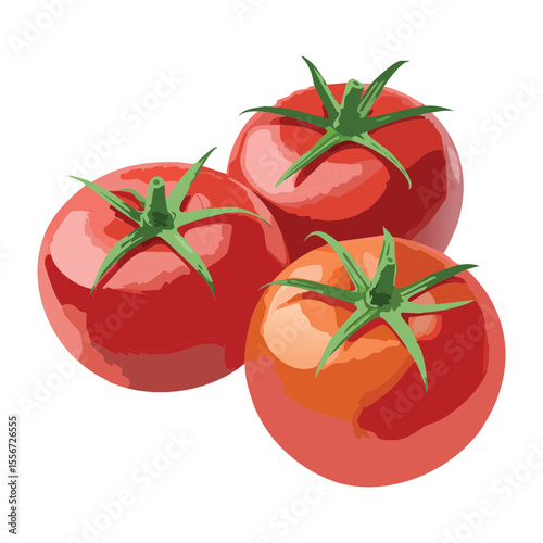 Group of Three Fresh Red Tomatoes - Vector Illustration