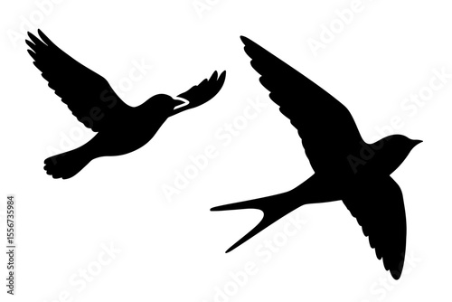 Silhouette of flying birds on transparent background
