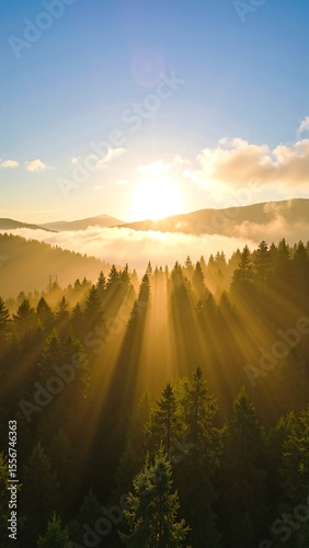 Golden sunlight filters through the lush green canopy of trees in a serene forest, casting dappled light and creating a warm, tranquil atmosphere.