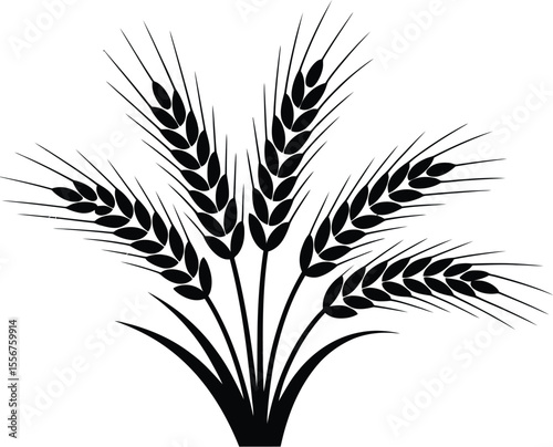 Illustration of wheat stalks in black and white on a white background
