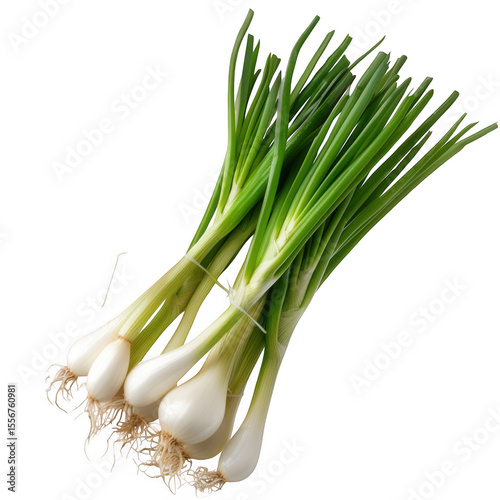 Spring onions on a transparent background-Photoroom.