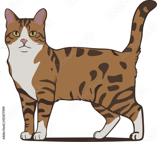 Stern Black Cat Icon Raising Paw - Editorial Illustration