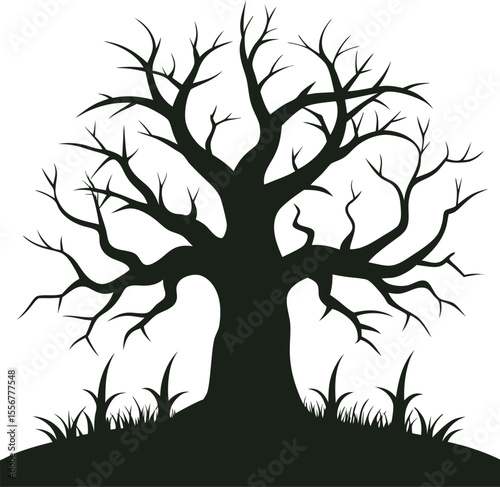 Silhouette of a big dead tree in the forest with PNG, JPEG