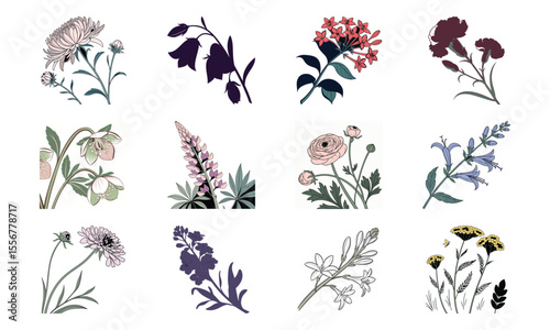 Beautiful Hand Drawn Botanical Flower Illustrations Collection In Vintage Pastel Style – Elegant Bloom Designs Perfect For Nature Art, Stationery, And Digital Prints (1)