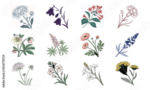 Beautiful Hand Drawn Botanical Flower Illustrations Collection In Vintage Pastel Style – Elegant Bloom Designs Perfect For Nature Art, Stationery, And Digital Prints (7)