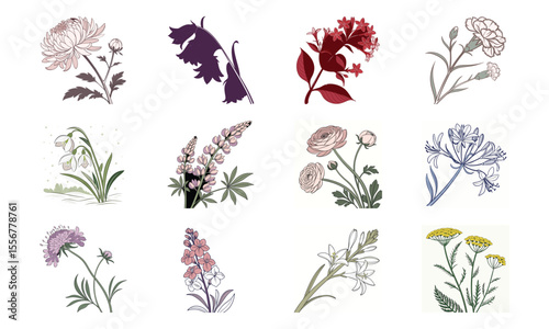 Beautiful Hand Drawn Botanical Flower Illustrations Collection In Vintage Pastel Style – Elegant Bloom Designs Perfect For Nature Art, Stationery, And Digital Prints (8)