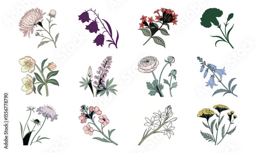 Beautiful Hand Drawn Botanical Flower Illustrations Collection In Vintage Pastel Style – Elegant Bloom Designs Perfect For Nature Art, Stationery, And Digital Prints (11)