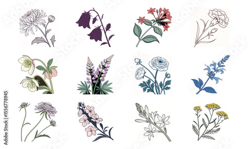 Beautiful Hand Drawn Botanical Flower Illustrations Collection In Vintage Pastel Style – Elegant Bloom Designs Perfect For Nature Art, Stationery, And Digital Prints (21)