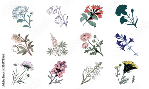 Beautiful Hand Drawn Botanical Flower Illustrations Collection In Vintage Pastel Style – Elegant Bloom Designs Perfect For Nature Art, Stationery, And Digital Prints (22)