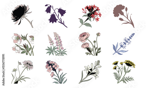 Beautiful Hand Drawn Botanical Flower Illustrations Collection In Vintage Pastel Style – Elegant Bloom Designs Perfect For Nature Art, Stationery, And Digital Prints (4)