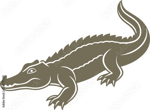 crocodile isolated on white background